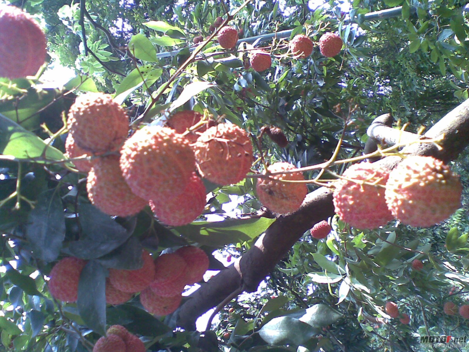 20110702(002).jpg