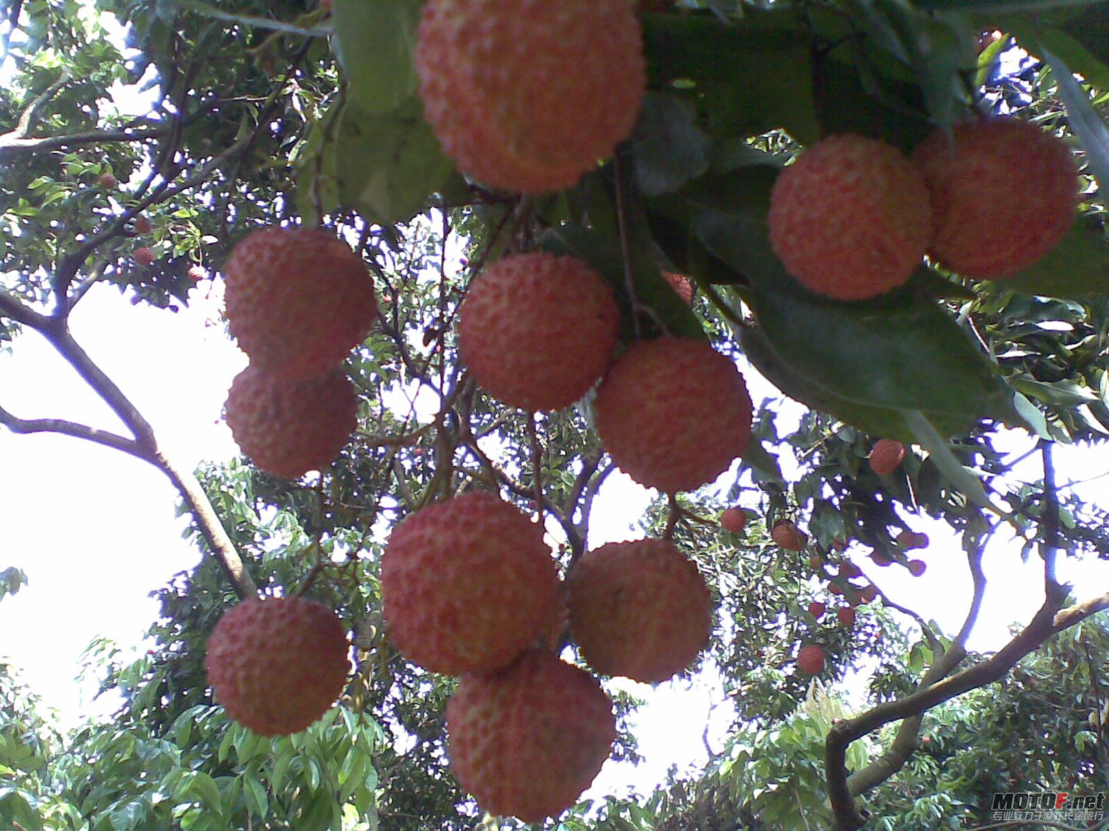20110702(003).jpg