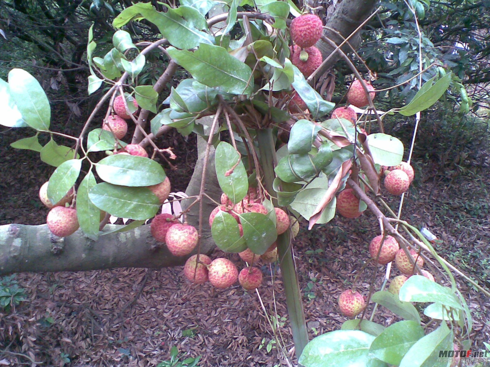 20110702(005).jpg