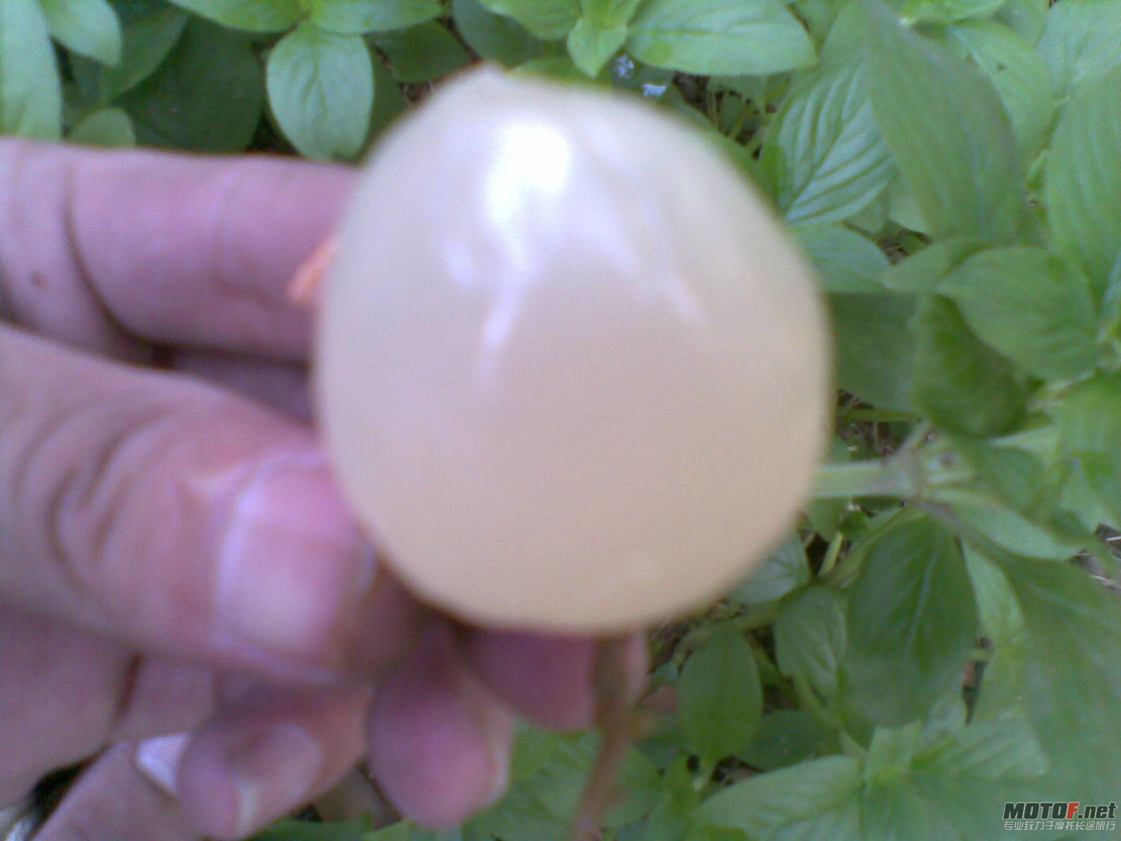 20110703(003).jpg