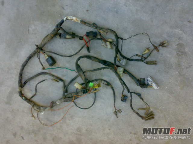 201107086802.jpg