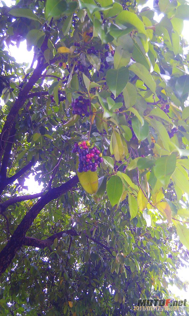 IMAG1051.jpg