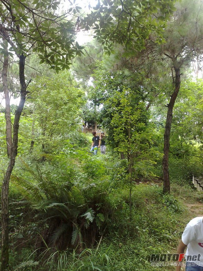 201107171160.jpg