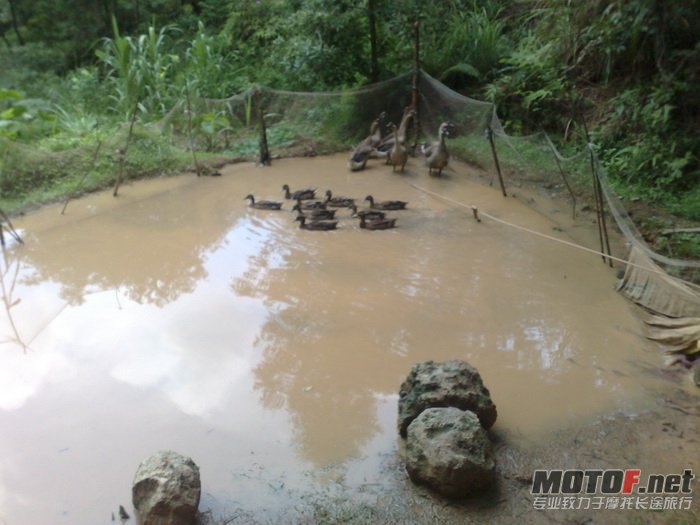 201107171161.jpg