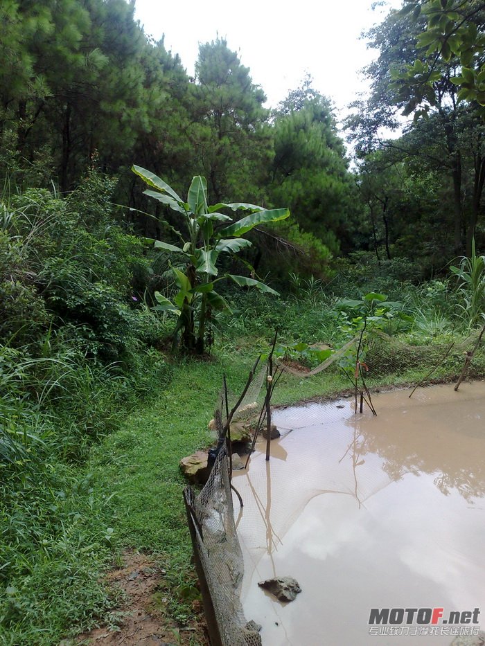 201107171162.jpg