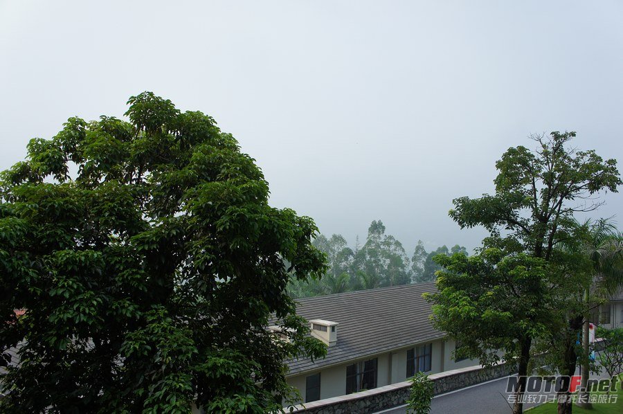 DSC03590.jpg
