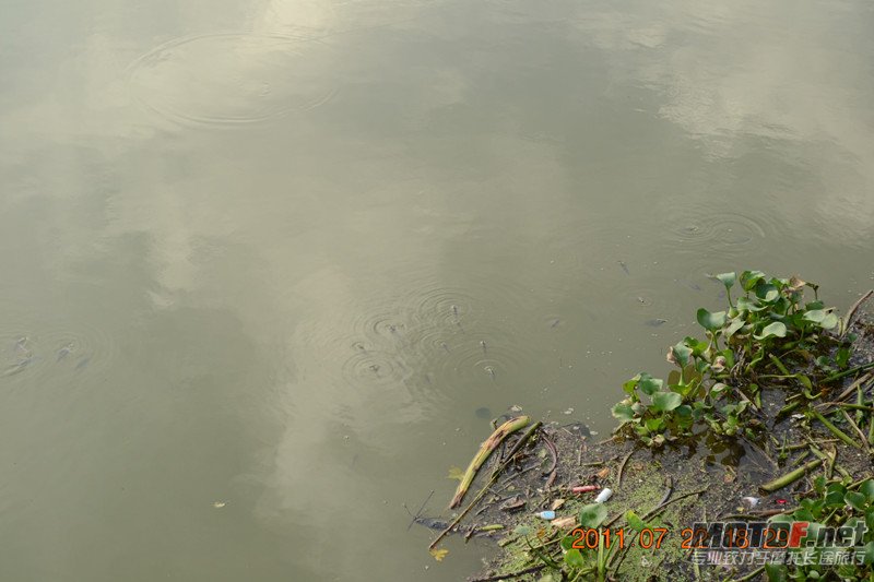 DSC_7595_副本.jpg