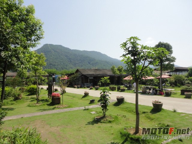 DSC01082.JPG