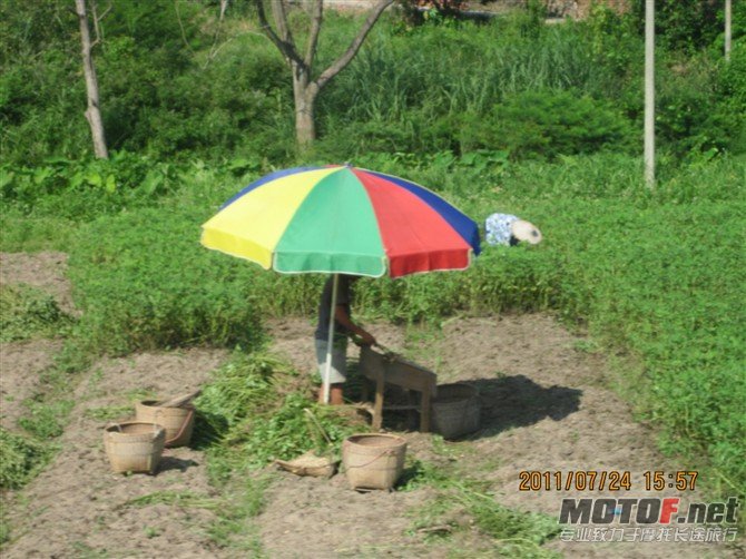 74.jpg