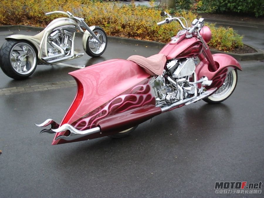 img33333.jpg