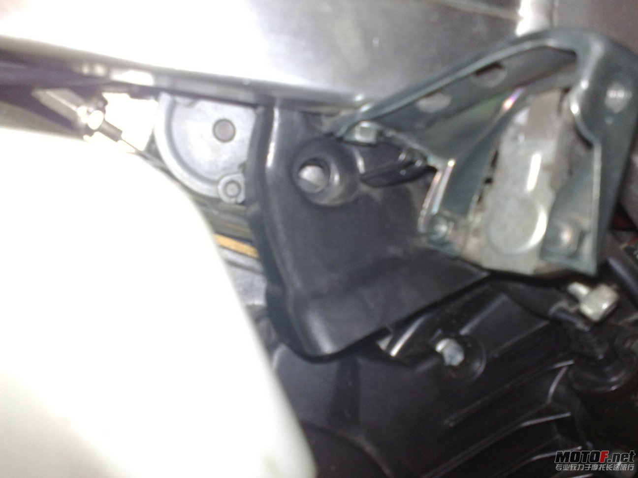 20110802594.jpg