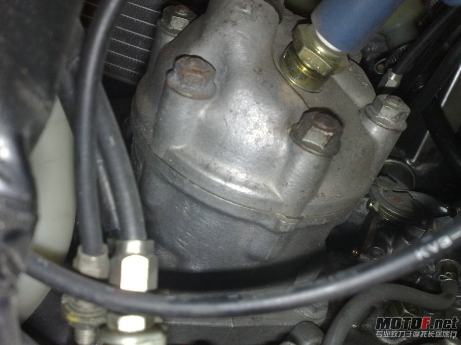 20110802611.jpg