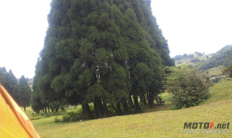 IMAG0342_调整大小.jpg