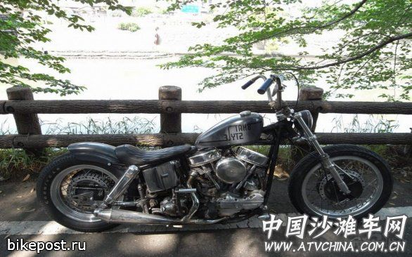 20110212_d9b37194a26a0cc8c18c16i5yAmI14lp[1].jpg
