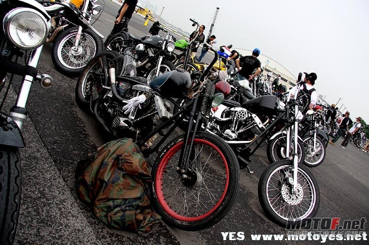 10072002301d348d4f269cf058[1].jpg