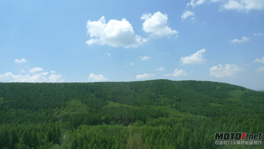 257.jpg