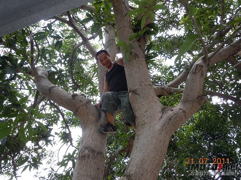 DSCN2438.JPG