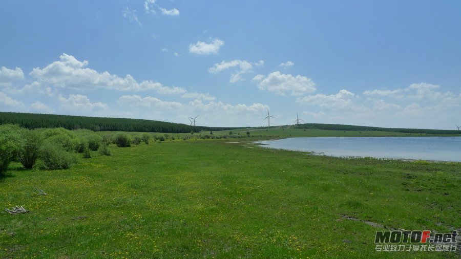 285.jpg