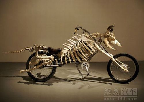 恶灵骑士.jpg