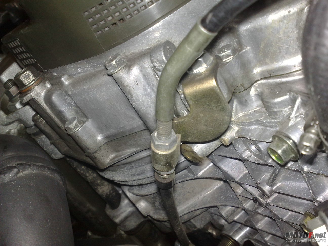 20110807661.jpg