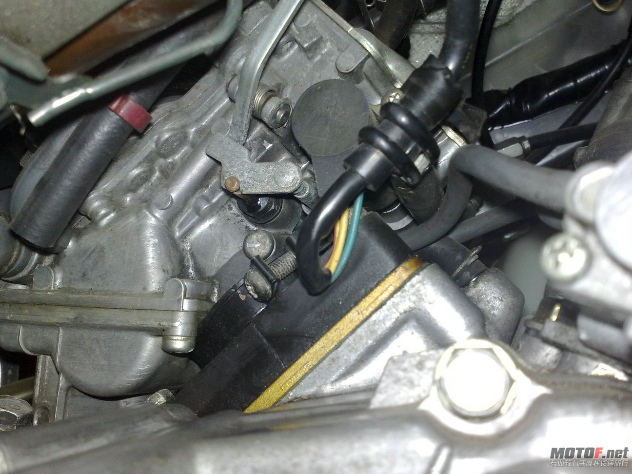 20110807664.jpg