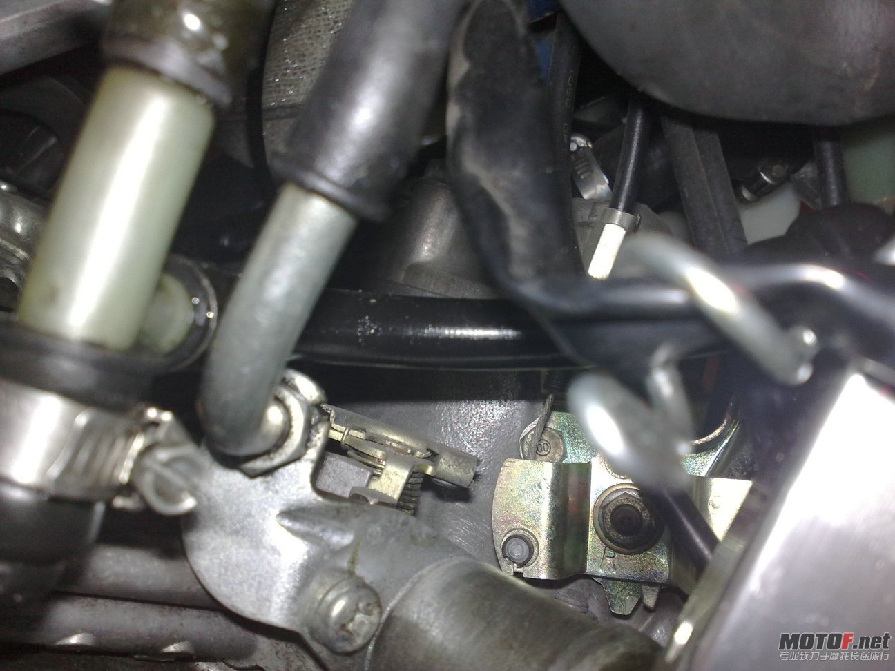 20110807665.jpg