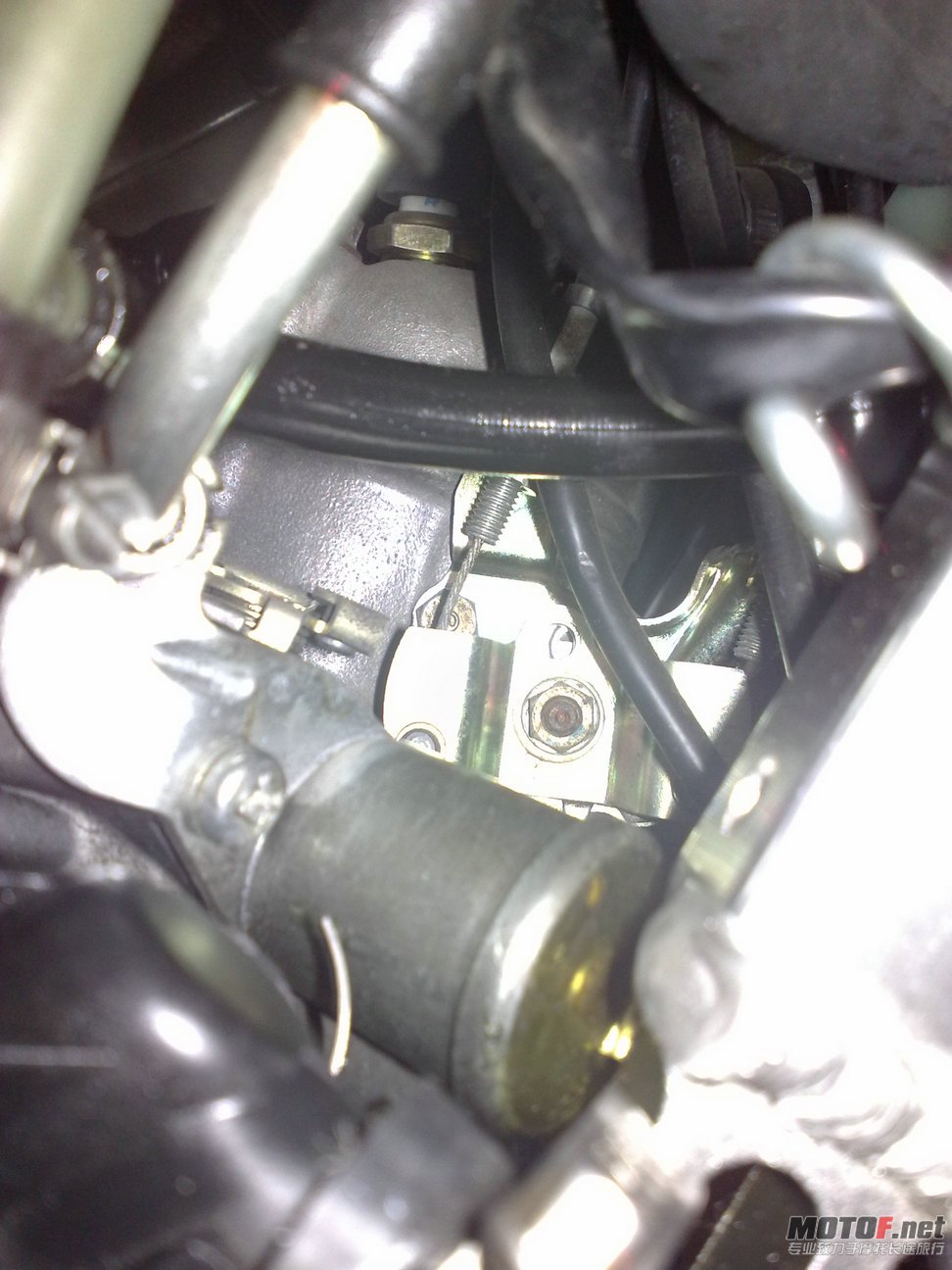 20110807667.jpg