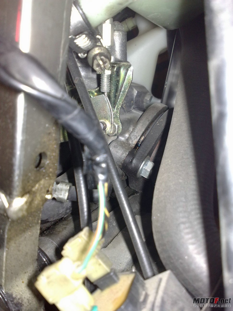 20110807668.jpg