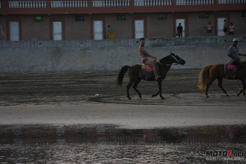IMG_9378.jpg