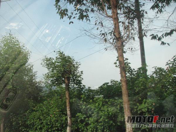 IMG_5129.JPG