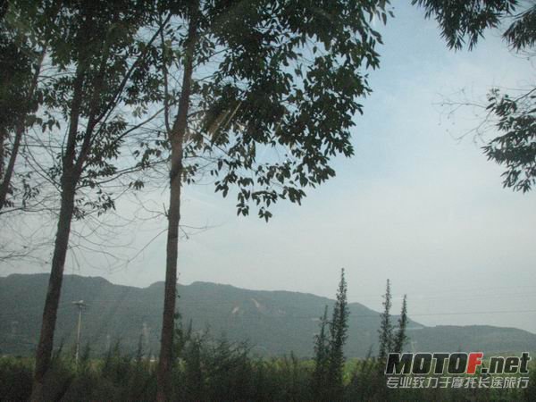 IMG_5130.JPG