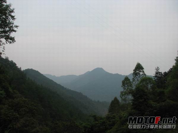 IMG_5221.JPG