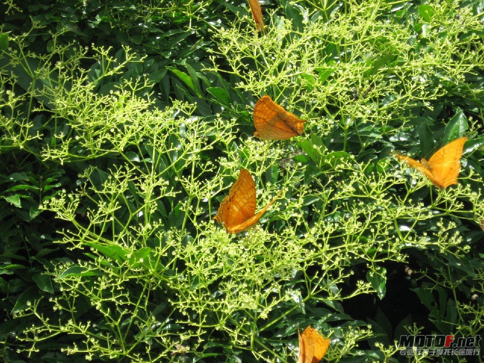 照片 335.jpg