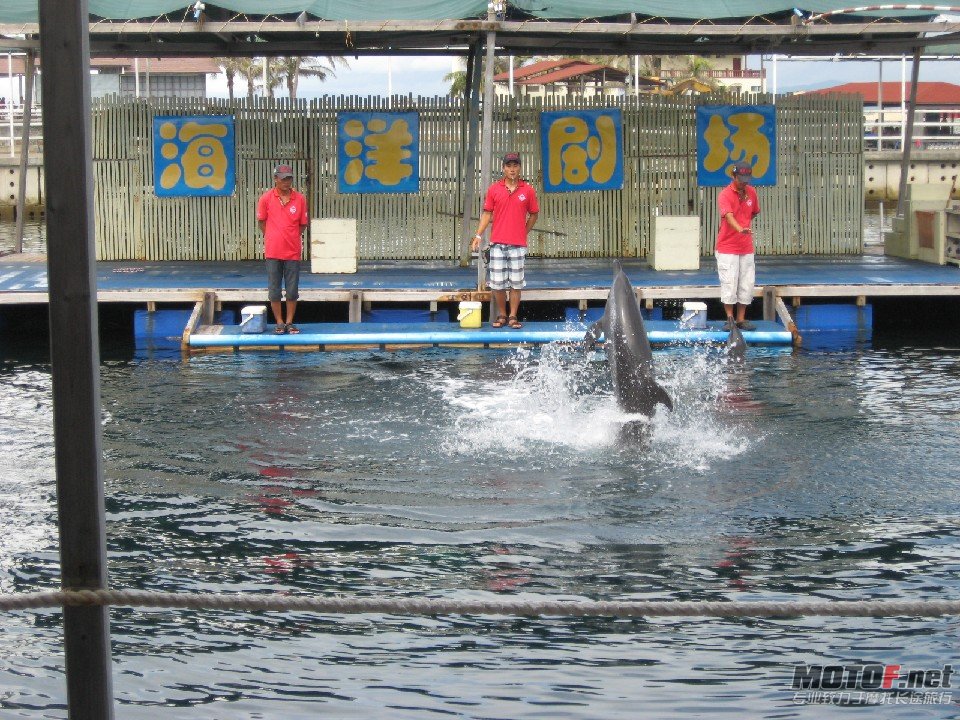 照片 568.jpg