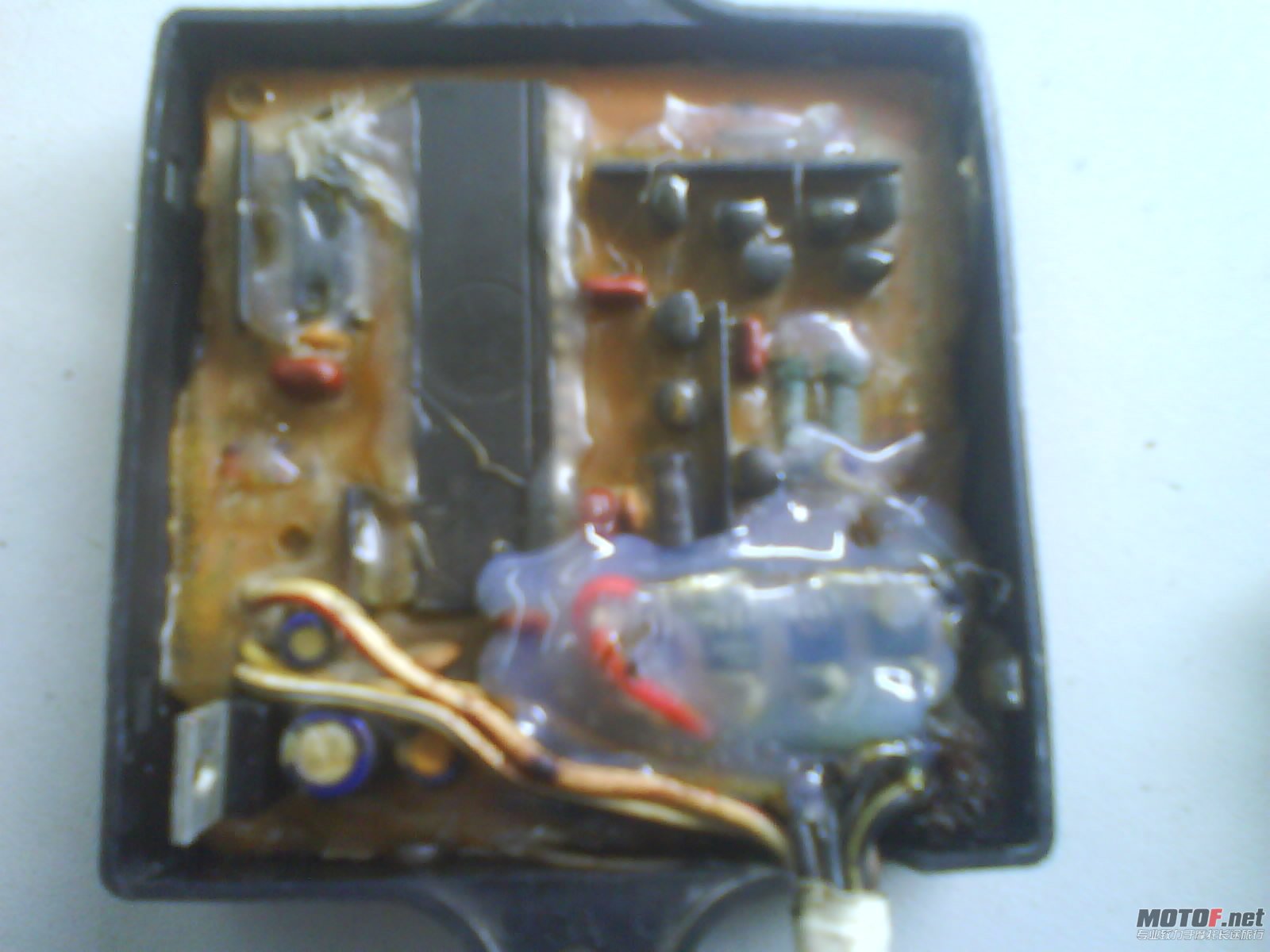 DSC00411.jpg