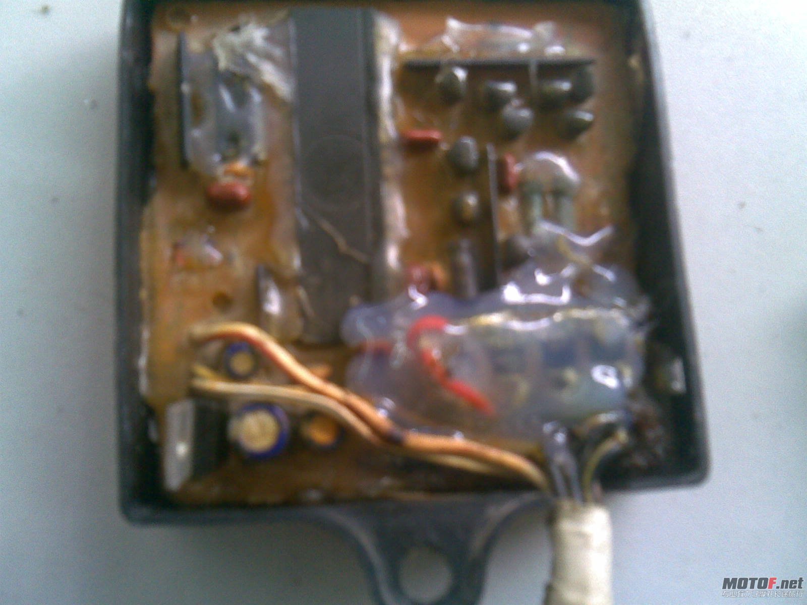 20110814.jpg