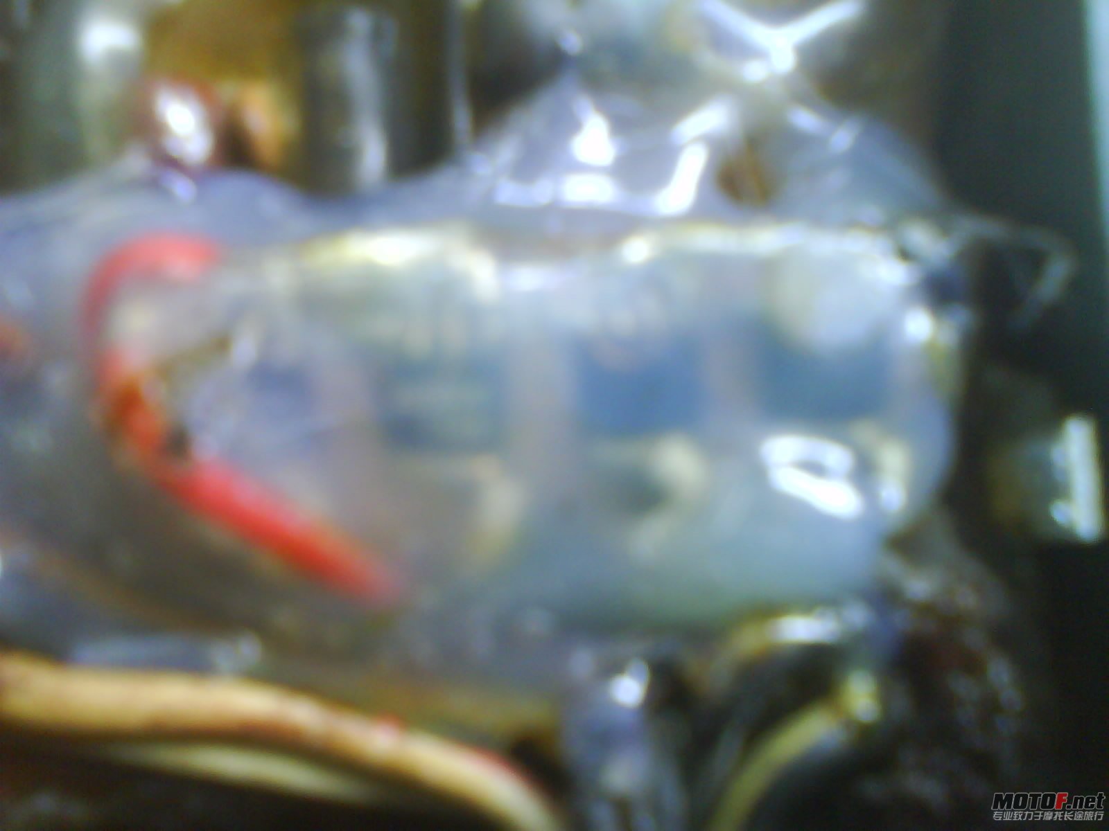 DSC00410.jpg