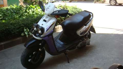 BWS100