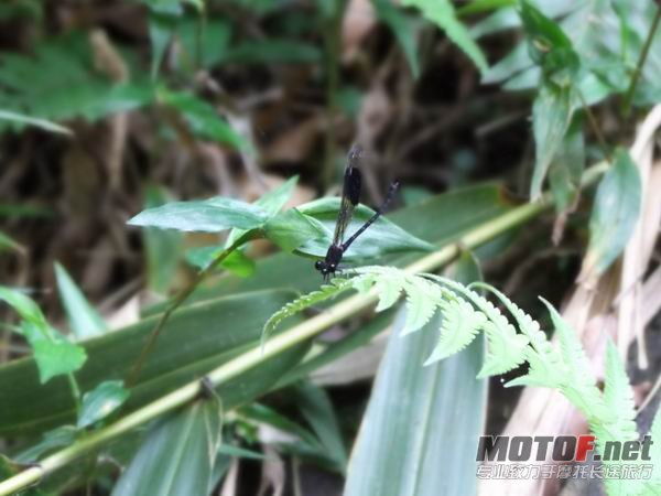 调整大小 照片 028.jpg
