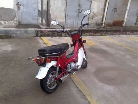 金城50