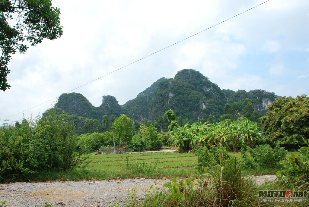 DSC_0014.JPG