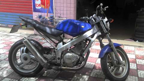 蚂蚁250