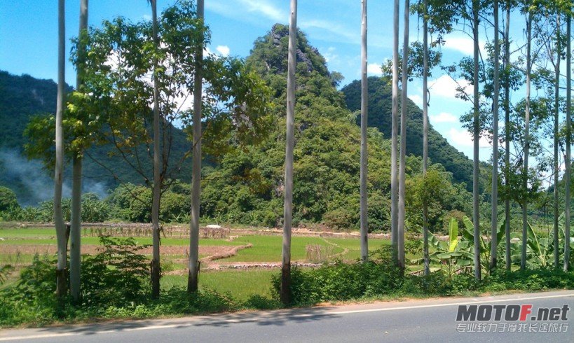 IMAG0071.jpg