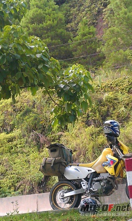 IMAG0098.jpg