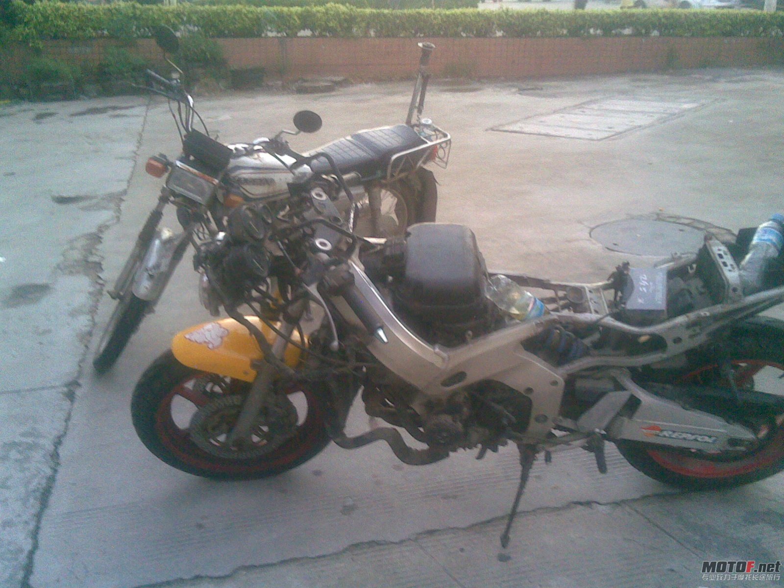 20110822.jpg