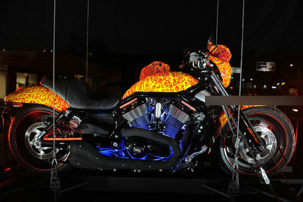 201012282858113[1].jpg