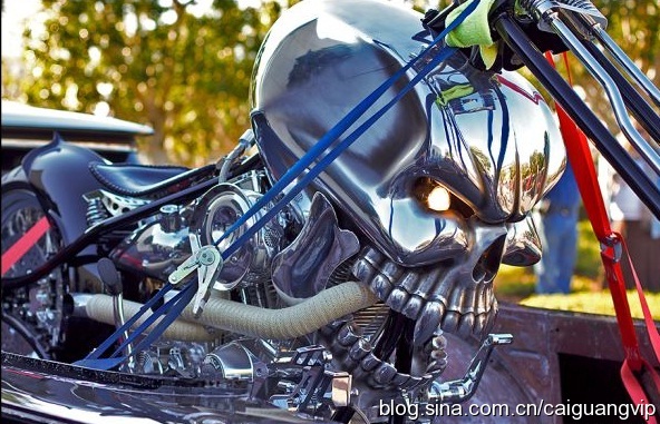 3fadc37560[1].jpg