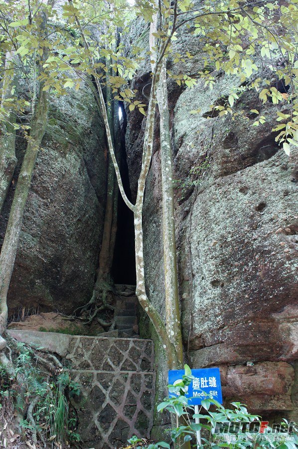 DSC04378.jpg