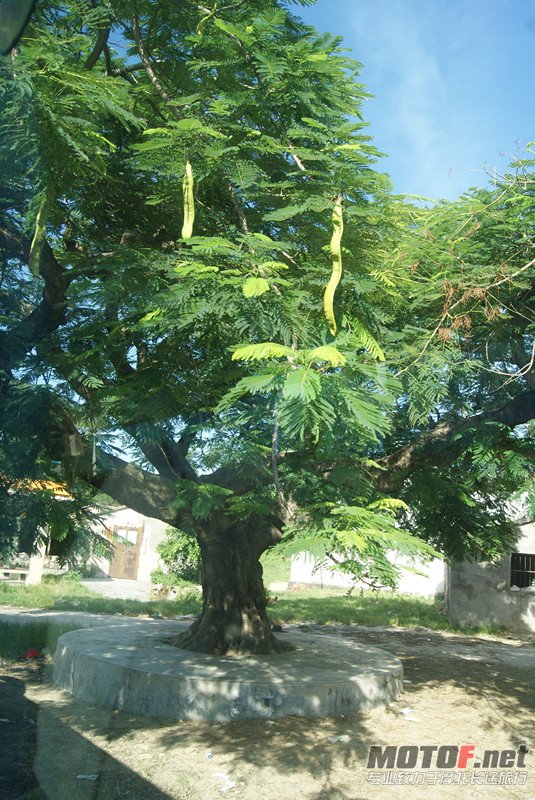 DSC09453_副本.jpg