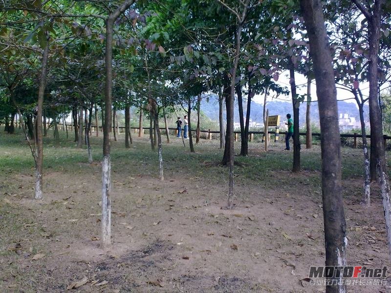 20101128473.jpg
